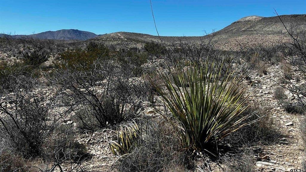 20 acres in Brewster County - photo 6