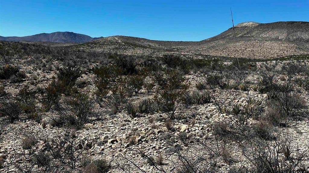 20 acres in Brewster County - photo 8