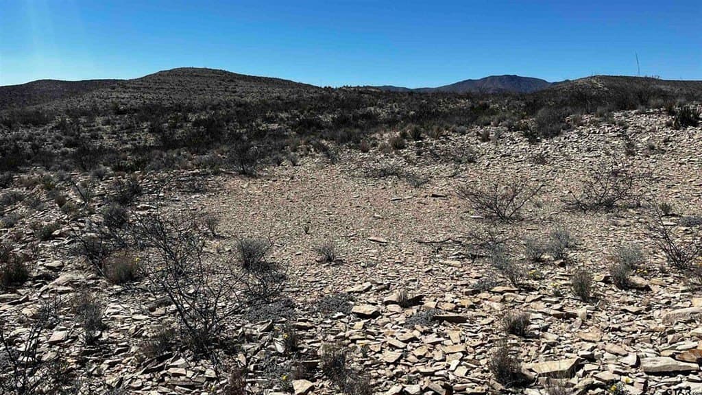 20 acres in Brewster County - photo 9