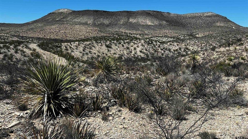 20 acres in Brewster County - photo 3