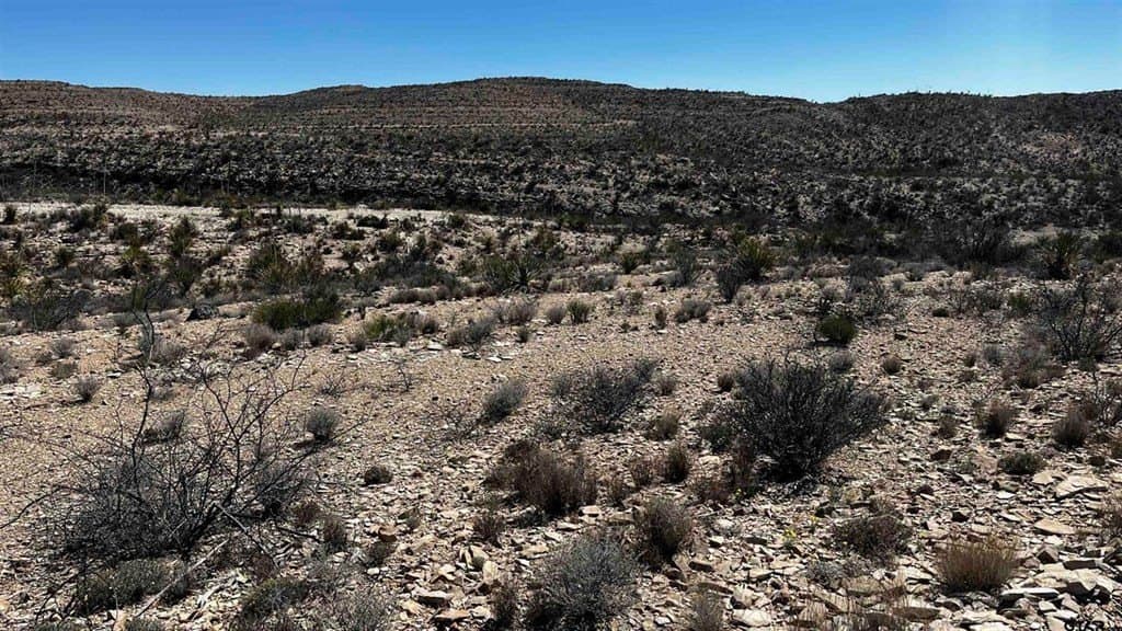 20 acres in Brewster County - photo 4