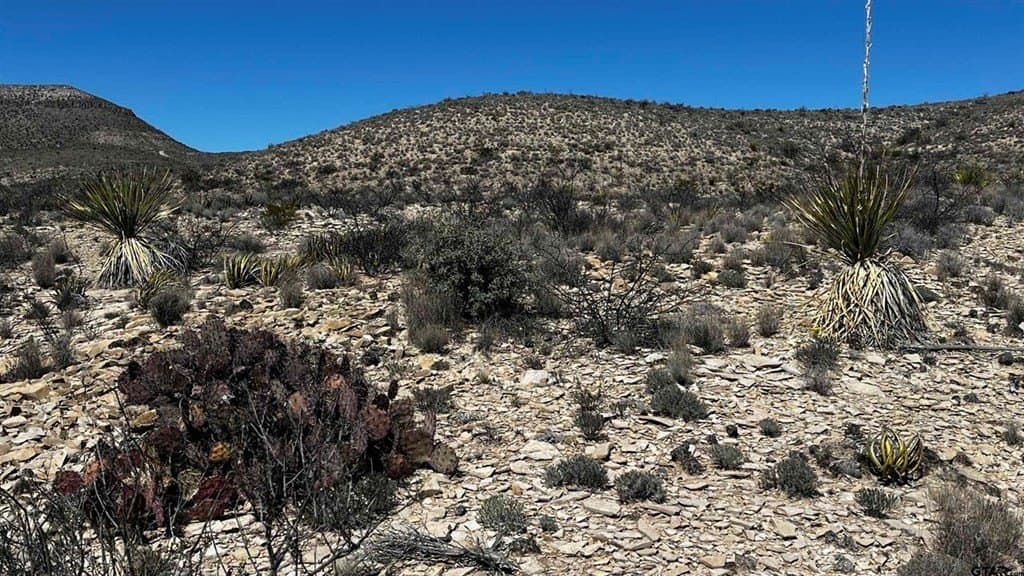 20 acres in Brewster County - photo 7
