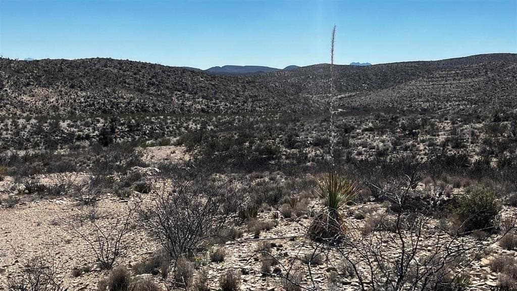 20 acres in Brewster County - photo 2