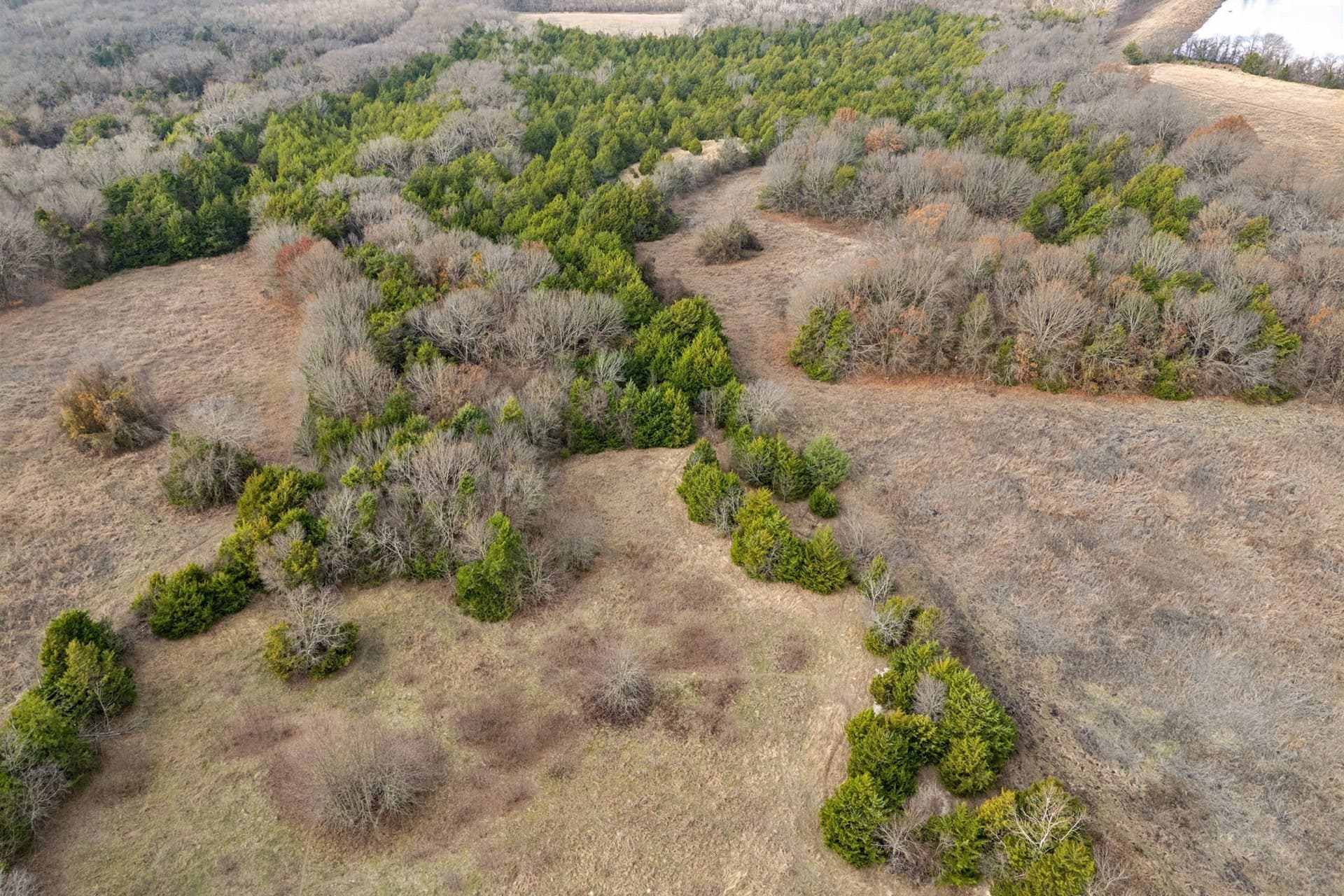 84.68 acres in Collin County - photo 12