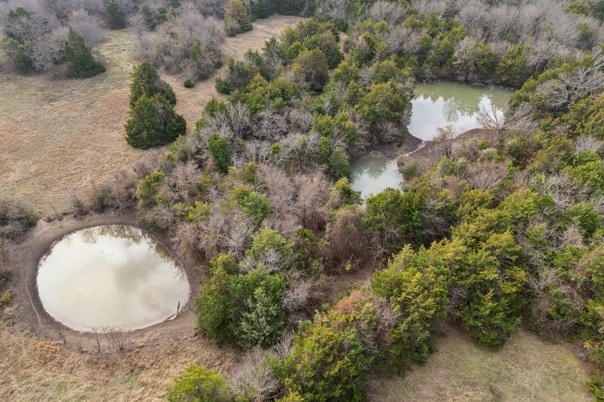 84.68 acres in Collin County - photo 7