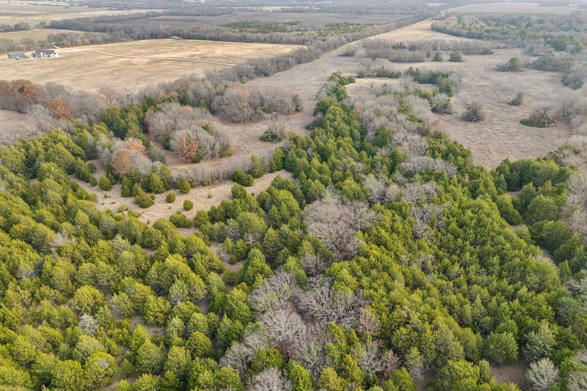 84.68 acres in Collin County - photo 11