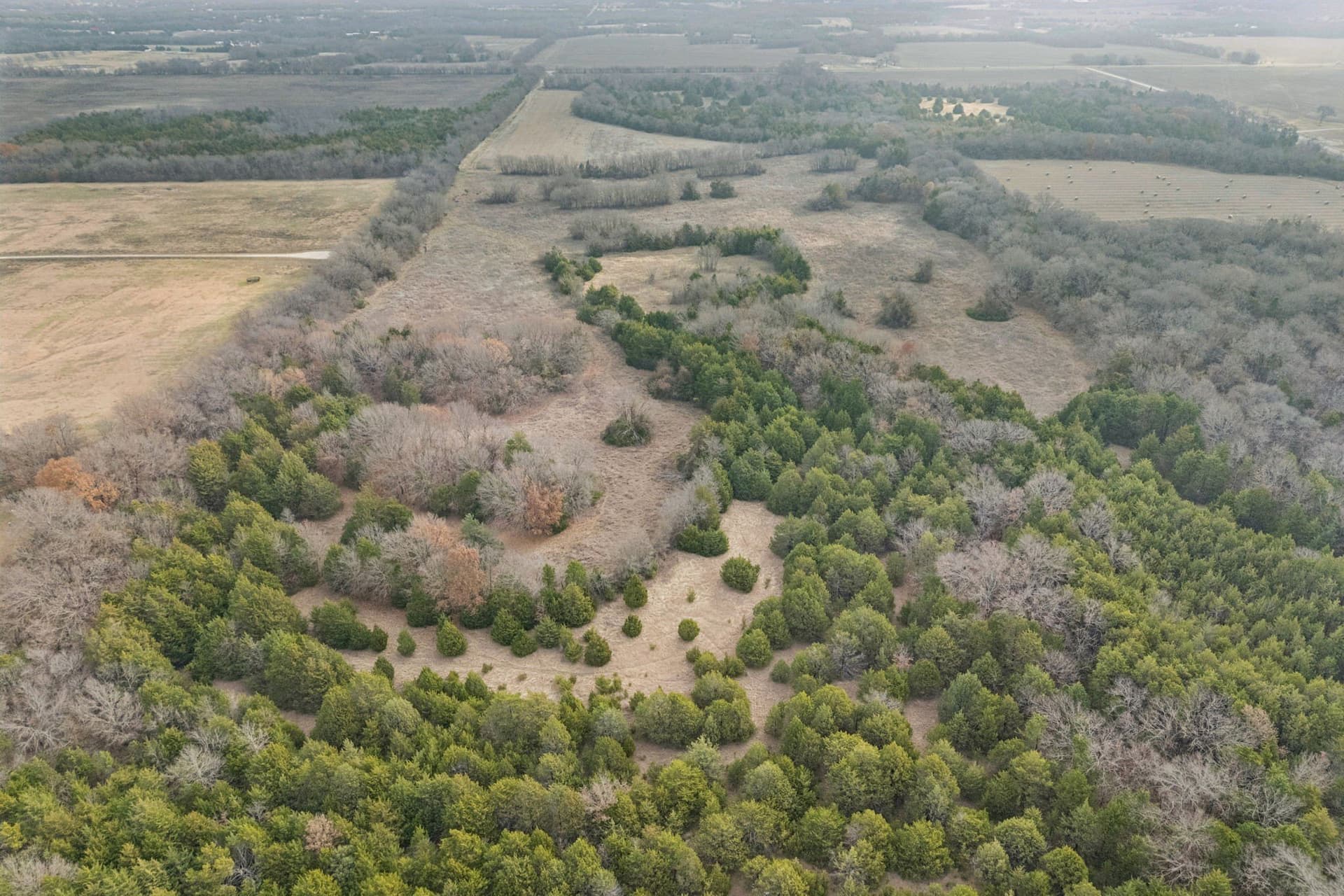 84.68 acres in Collin County - photo 10
