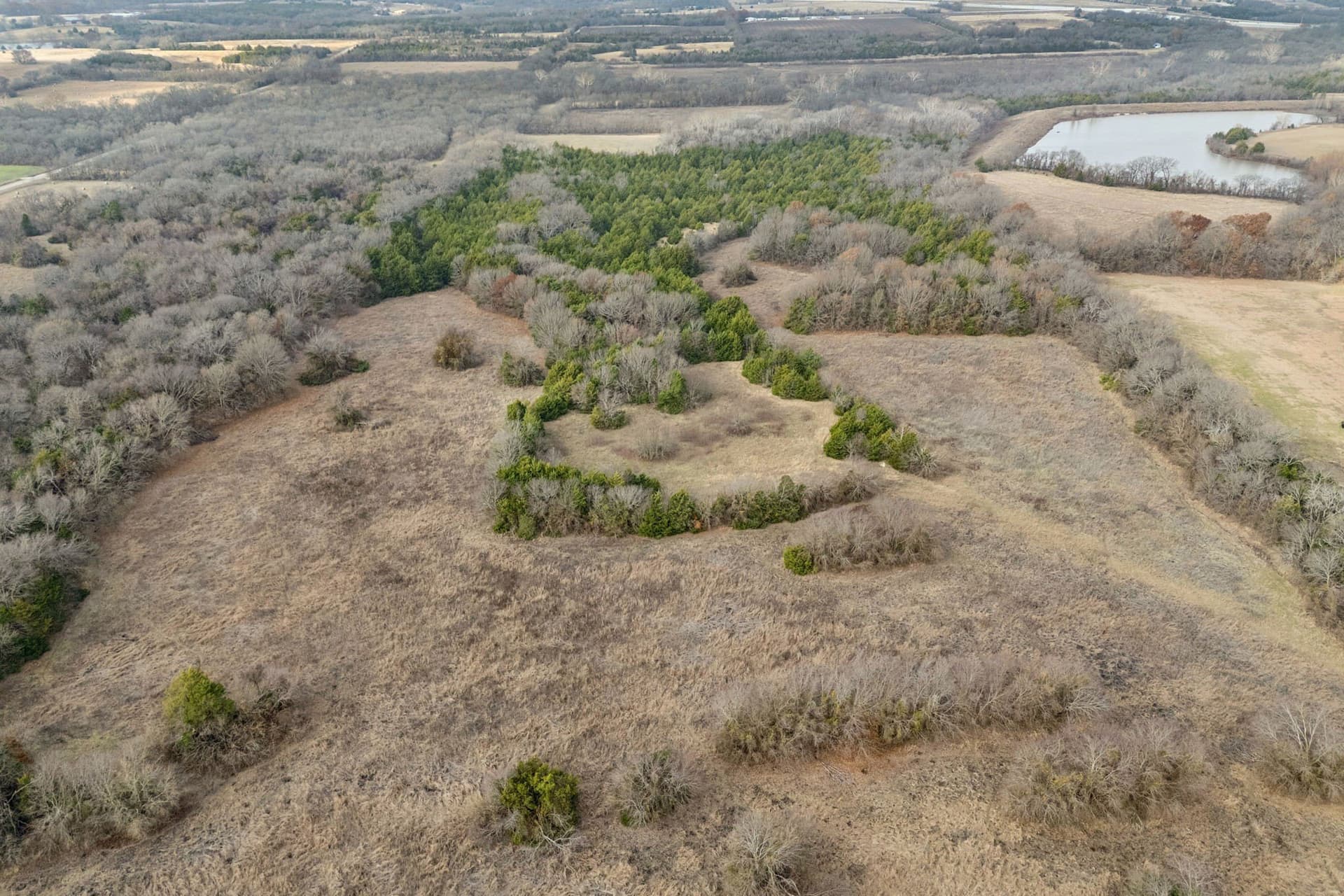 84.68 acres in Collin County - photo 6