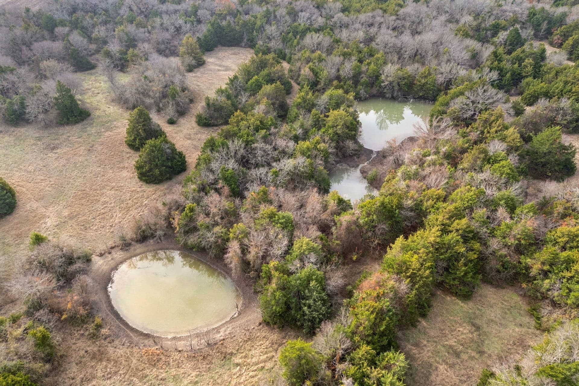 84.68 acres in Collin County - photo 8
