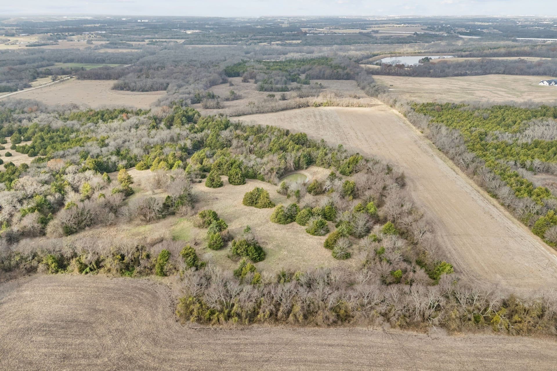 84.68 acres in Collin County gallery image 4