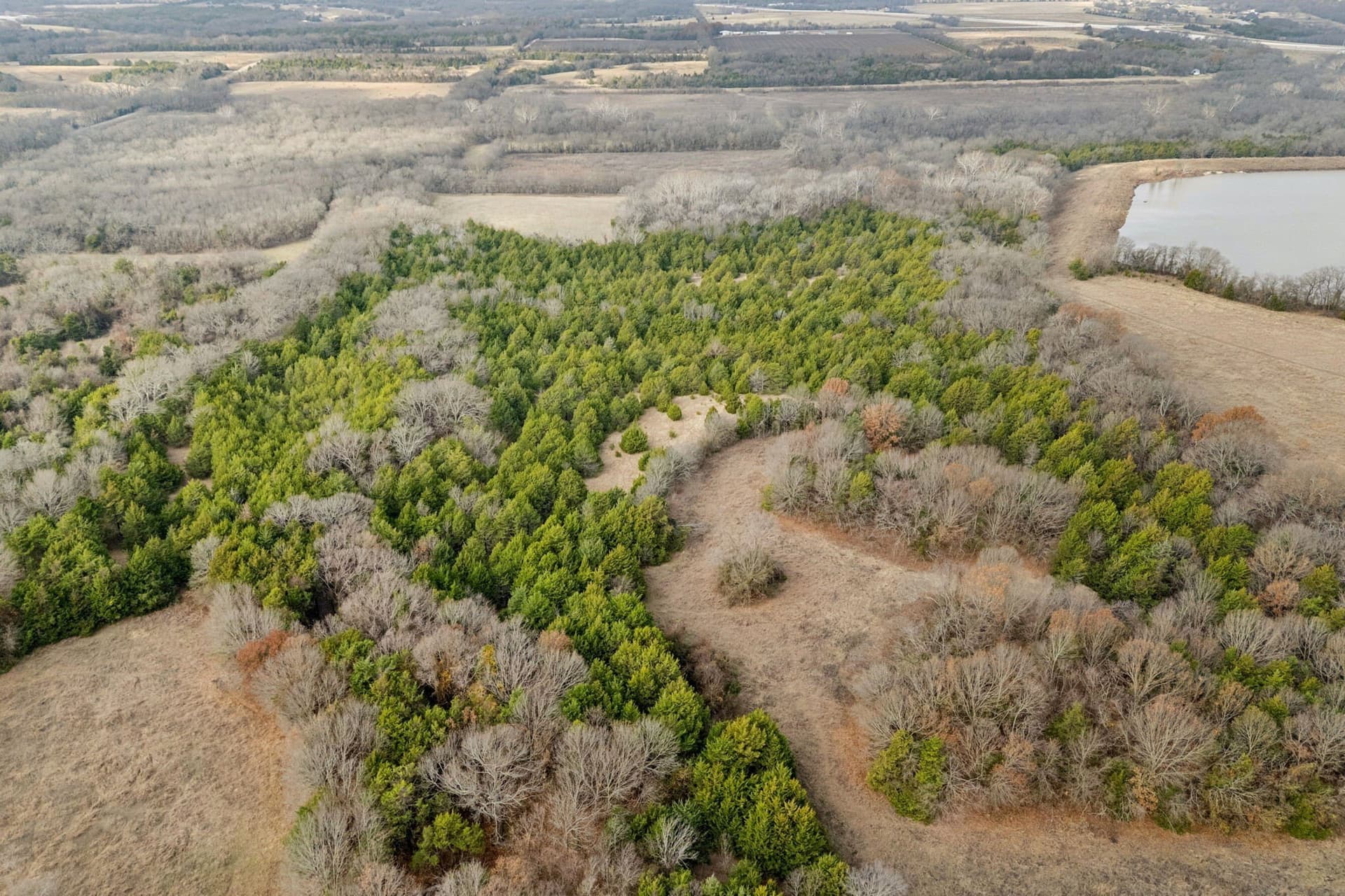 84.68 acres in Collin County - photo 9