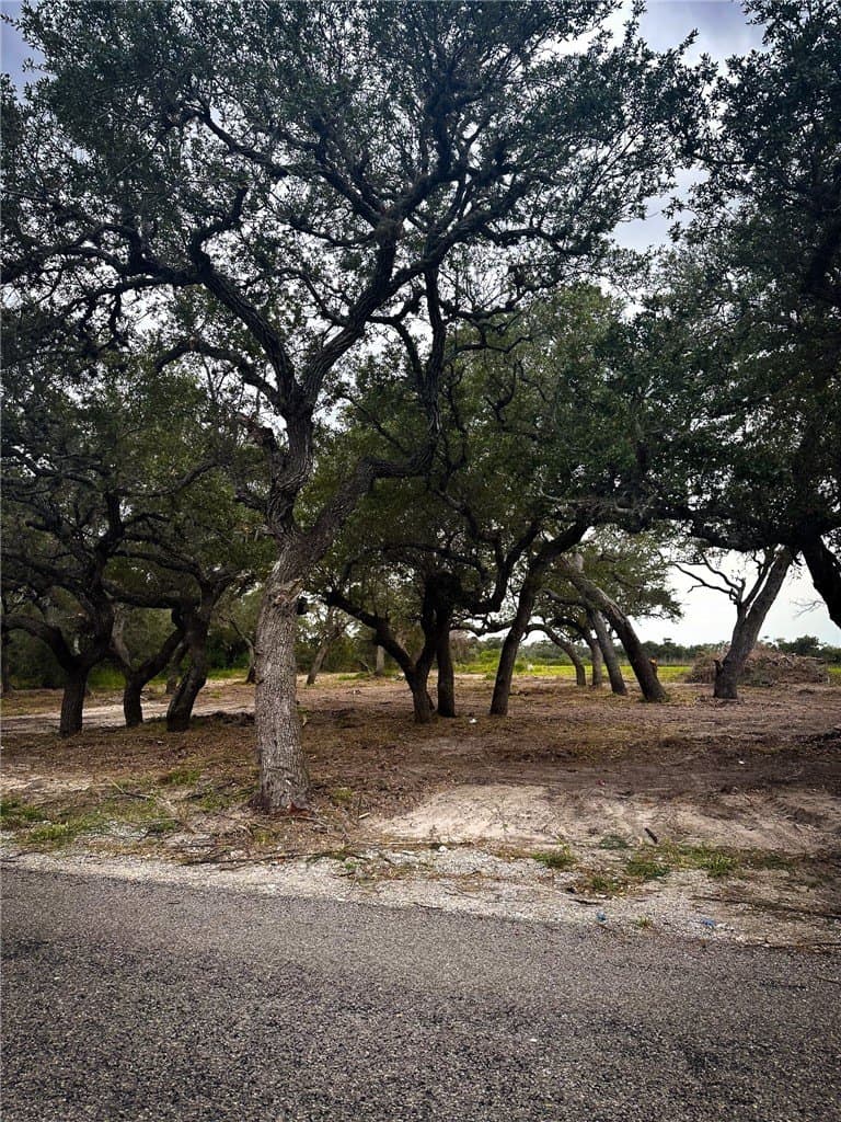 7.75 acres in Aransas County gallery image 3