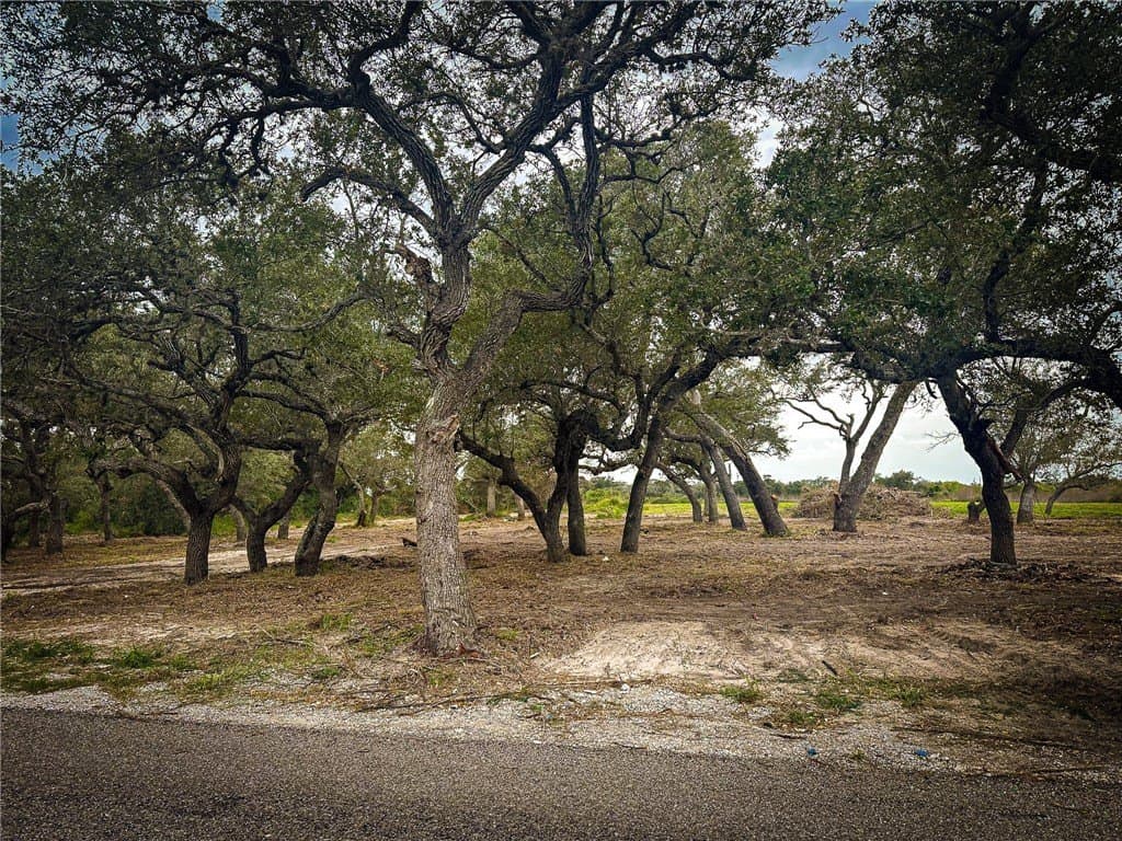 7.75 acres in Aransas County gallery image 4