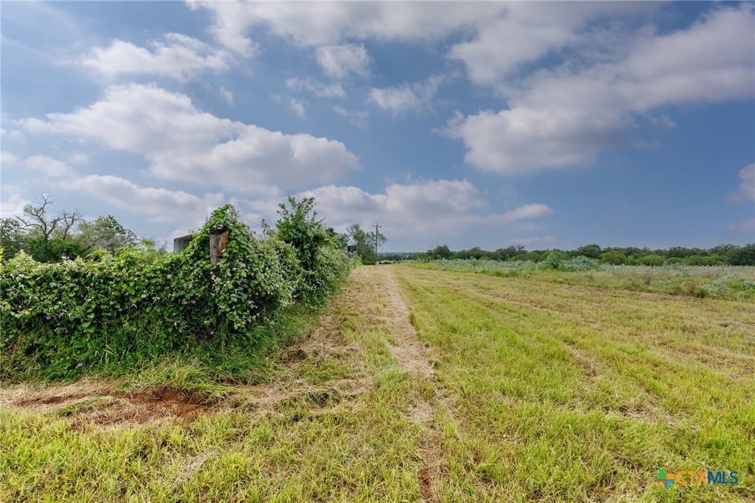15.62 acres in Wilson County gallery image 3