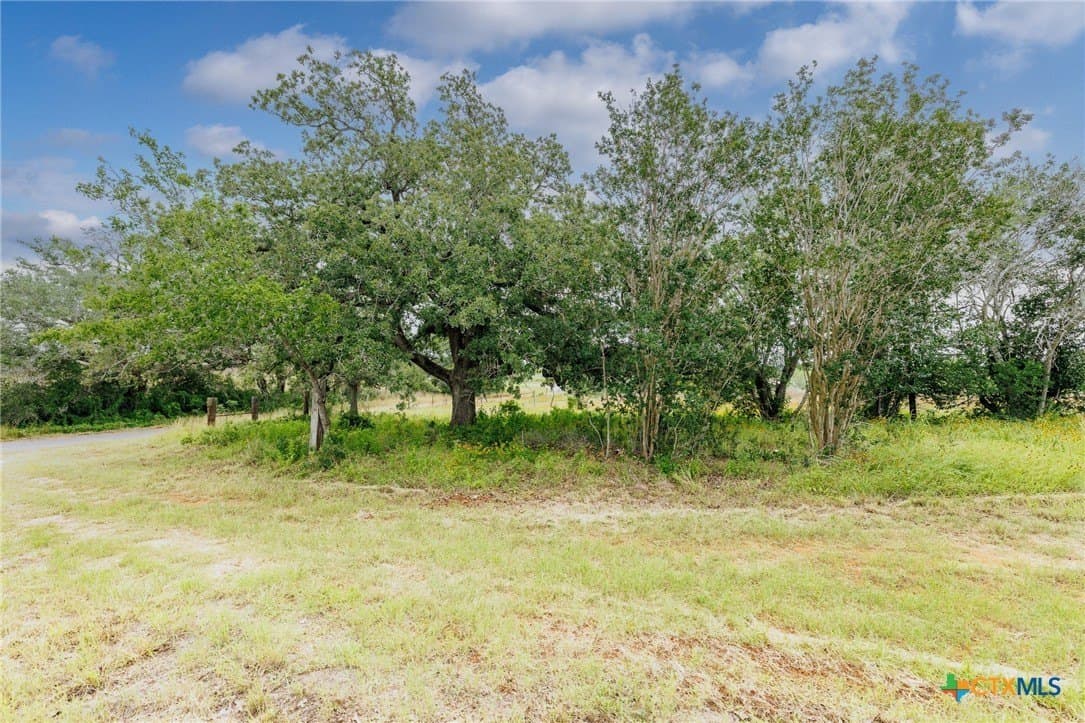 15.62 acres in Wilson County gallery image 2