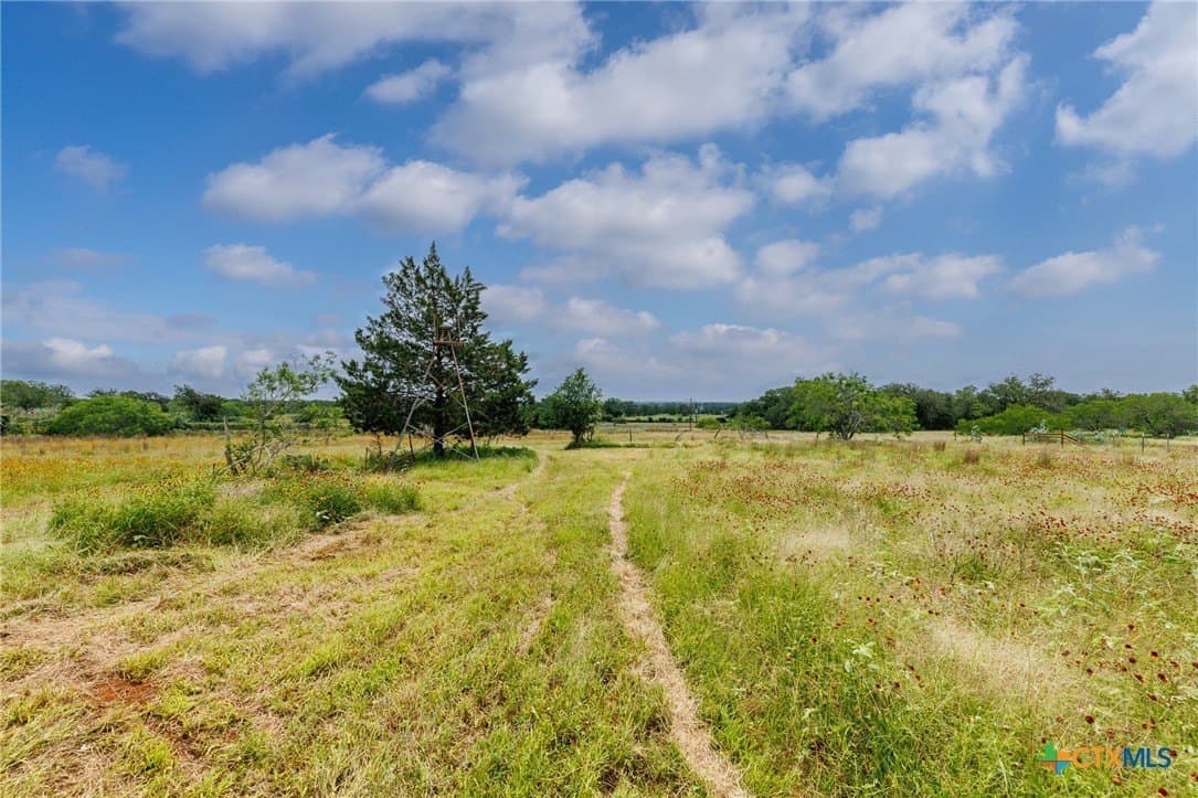 15.62 acres in Wilson County gallery image 4