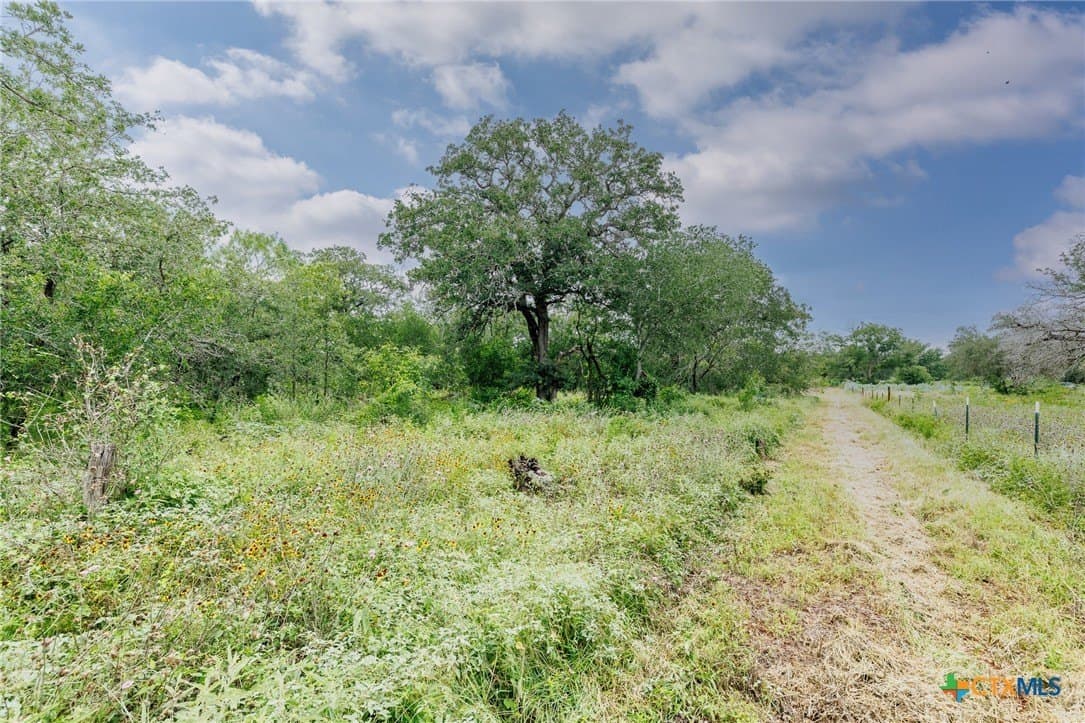 15.62 acres in Wilson County - photo 7