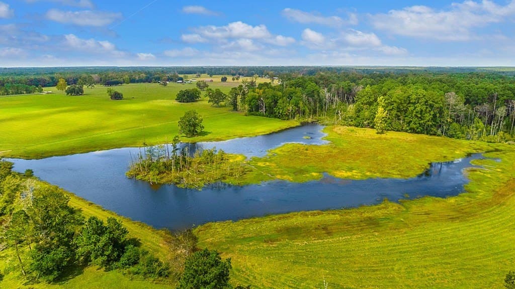 32.7 acres in Texas County gallery image 3