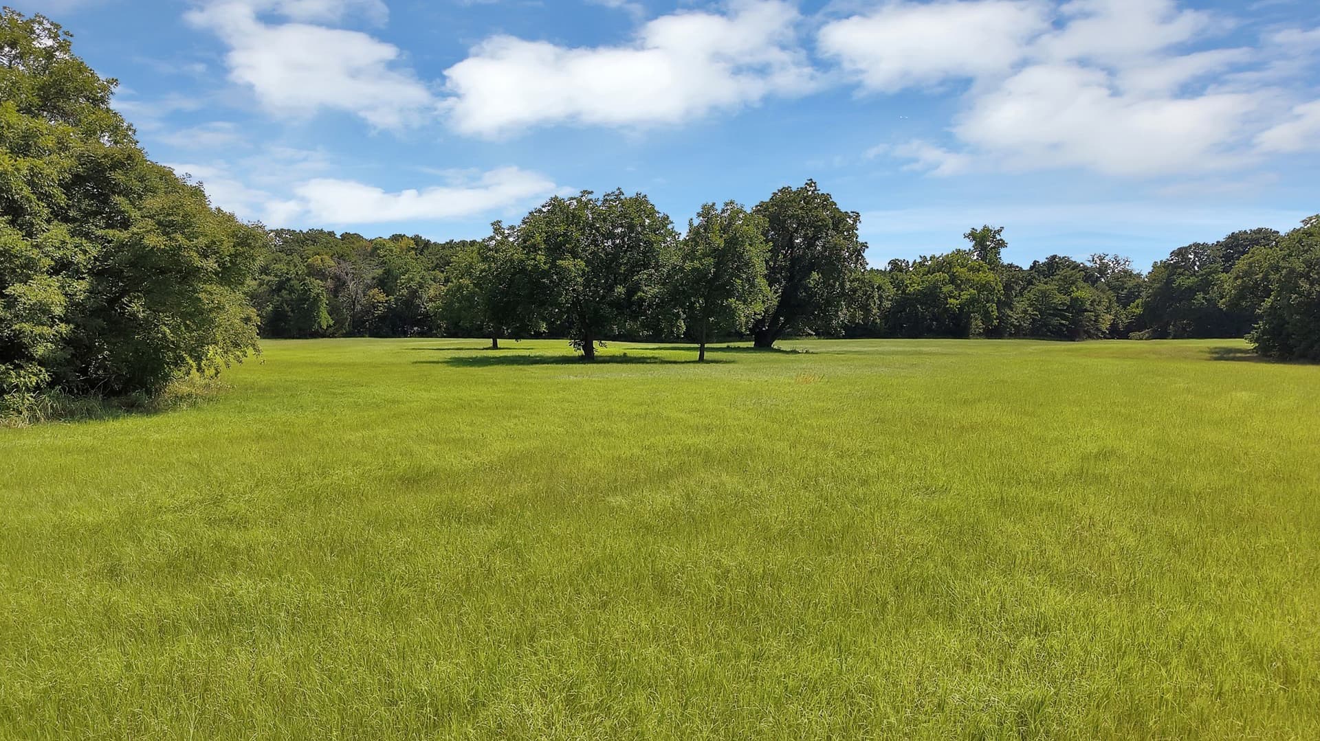 187.15 acres in Montague County - photo 29