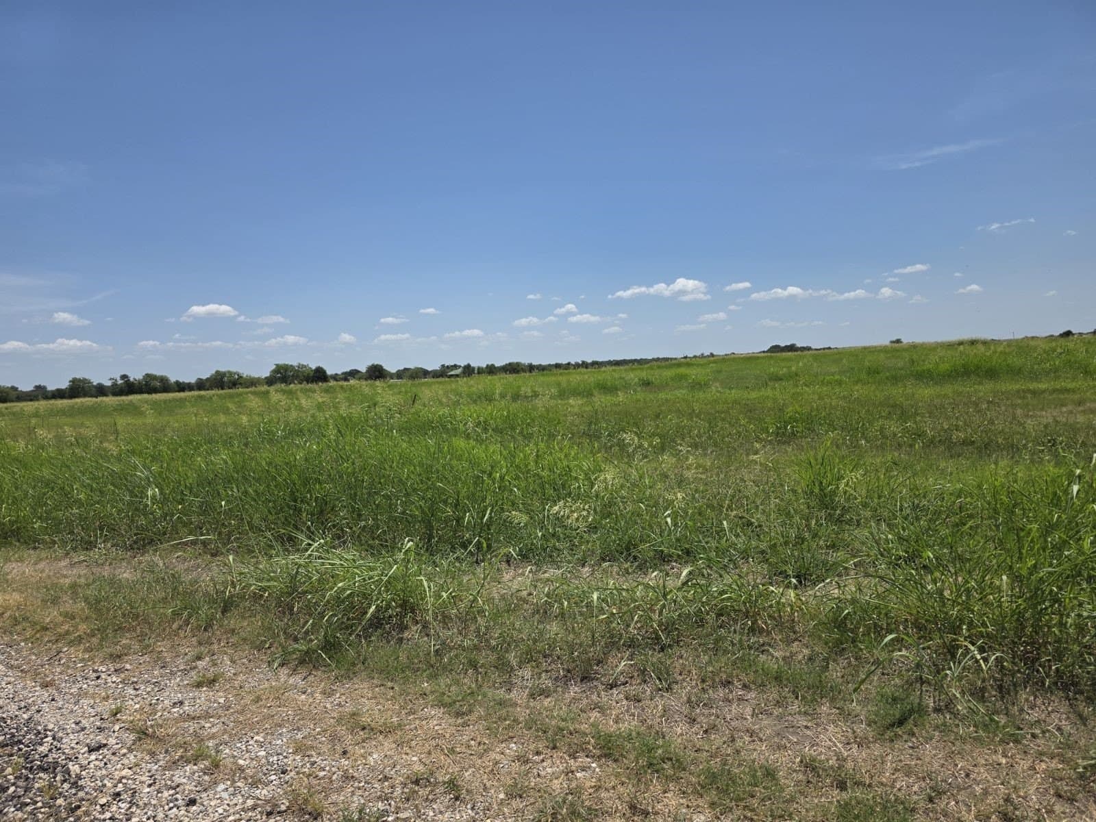 0.31 acres in Hunt County - photo 20