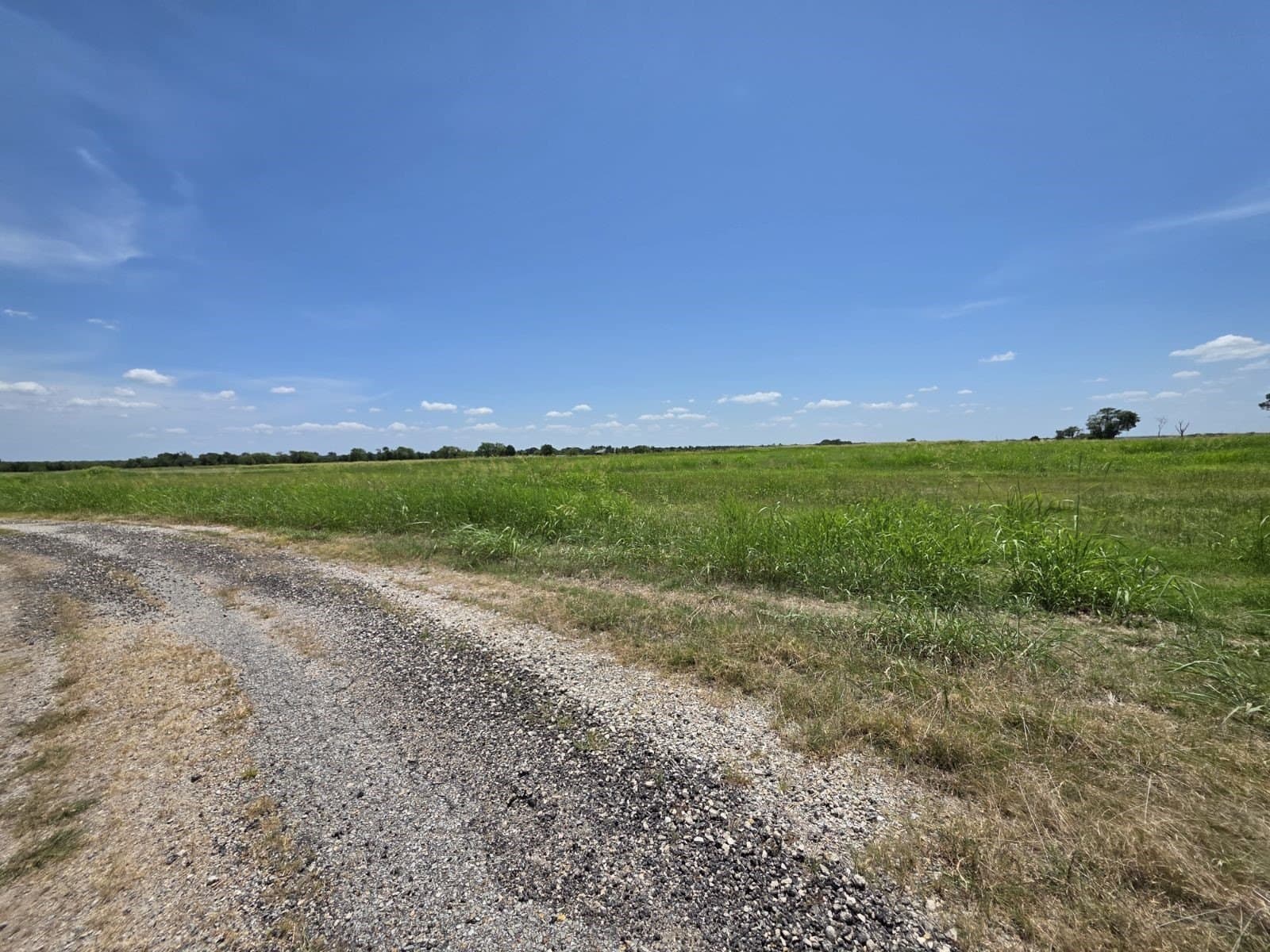 0.31 acres in Hunt County gallery image 3