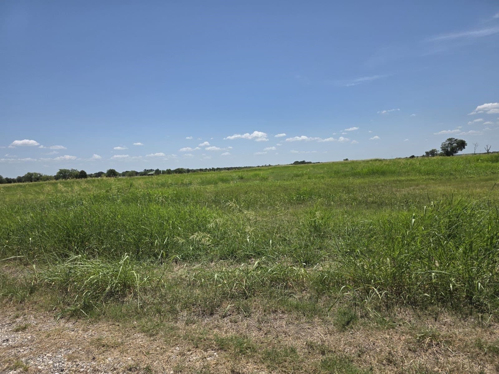 0.31 acres in Hunt County - photo 24
