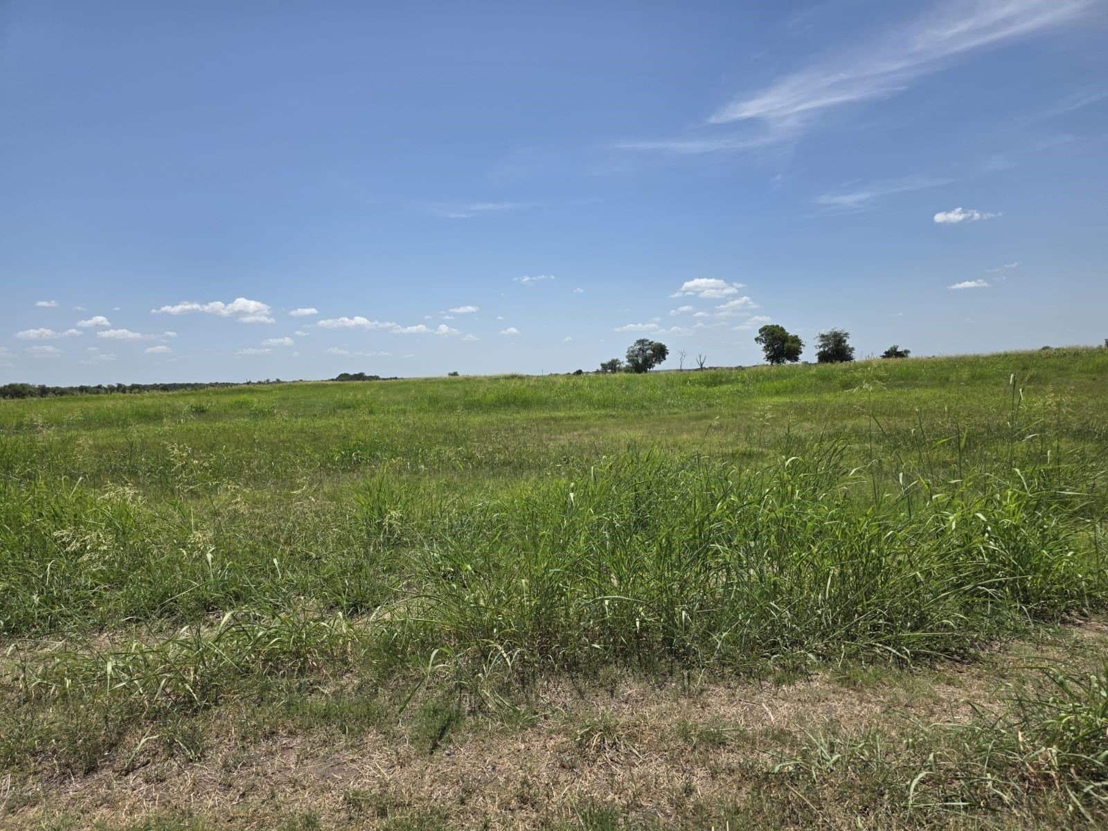 0.31 acres in Hunt County - photo 23