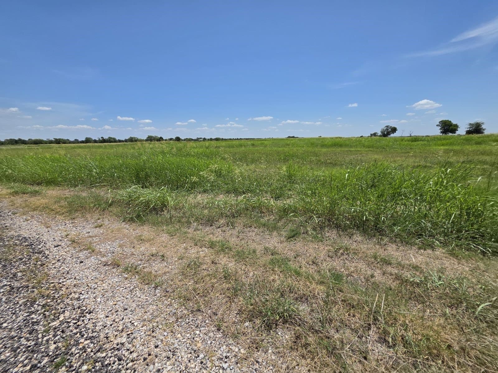 0.31 acres in Hunt County gallery image 2