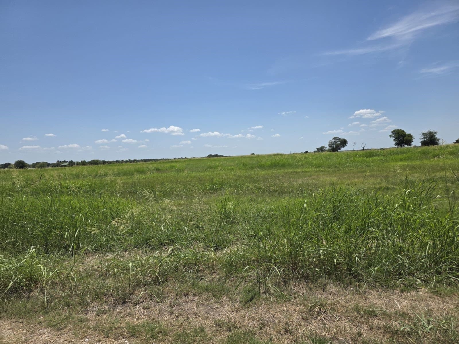 0.31 acres in Hunt County - photo 22