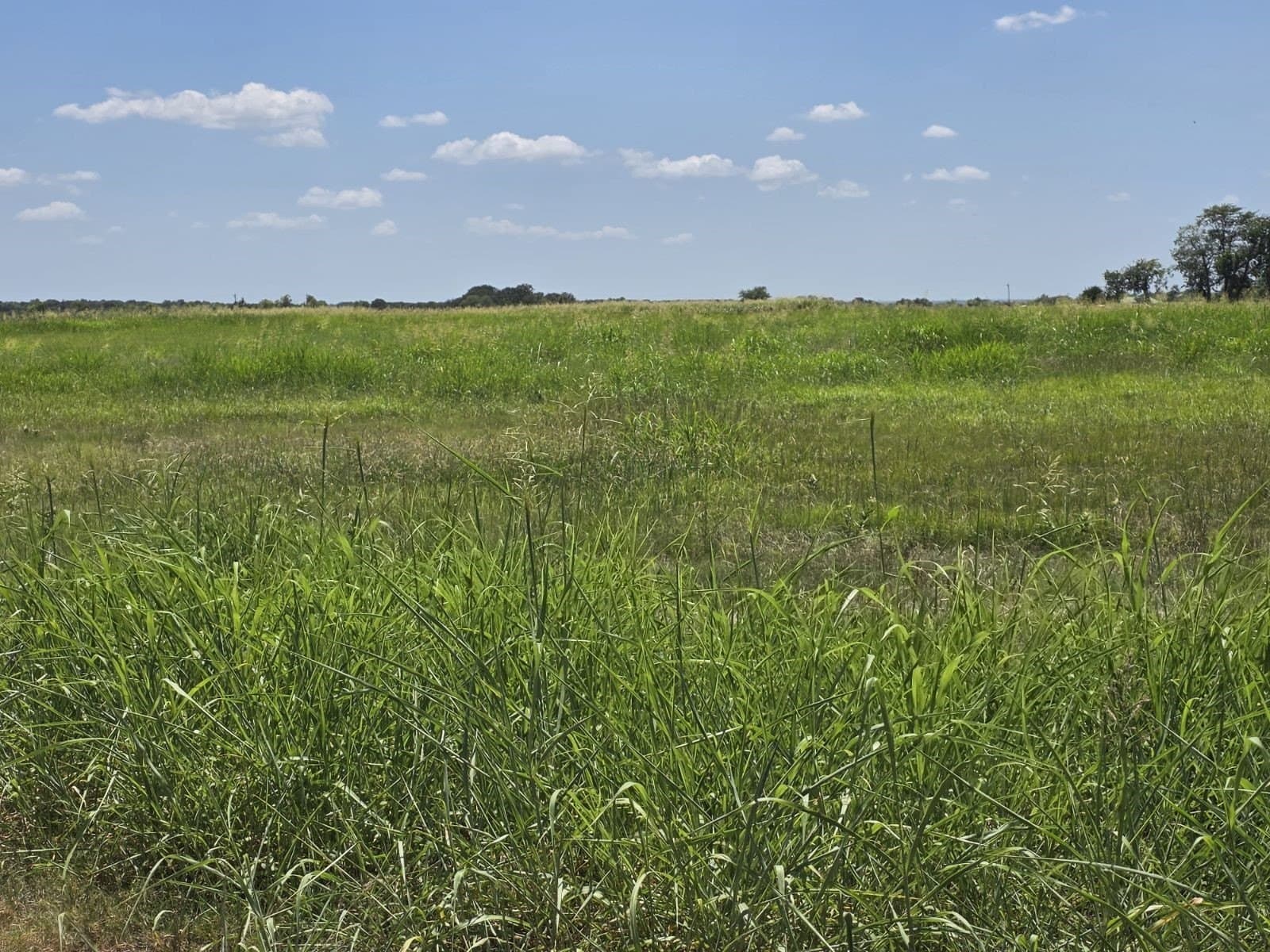 0.31 acres in Hunt County featured view