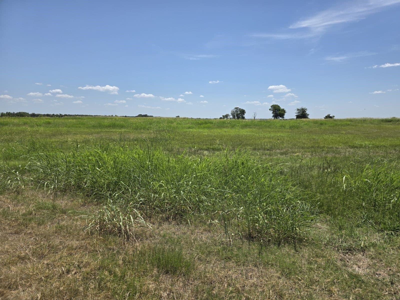 0.31 acres in Hunt County gallery image 4