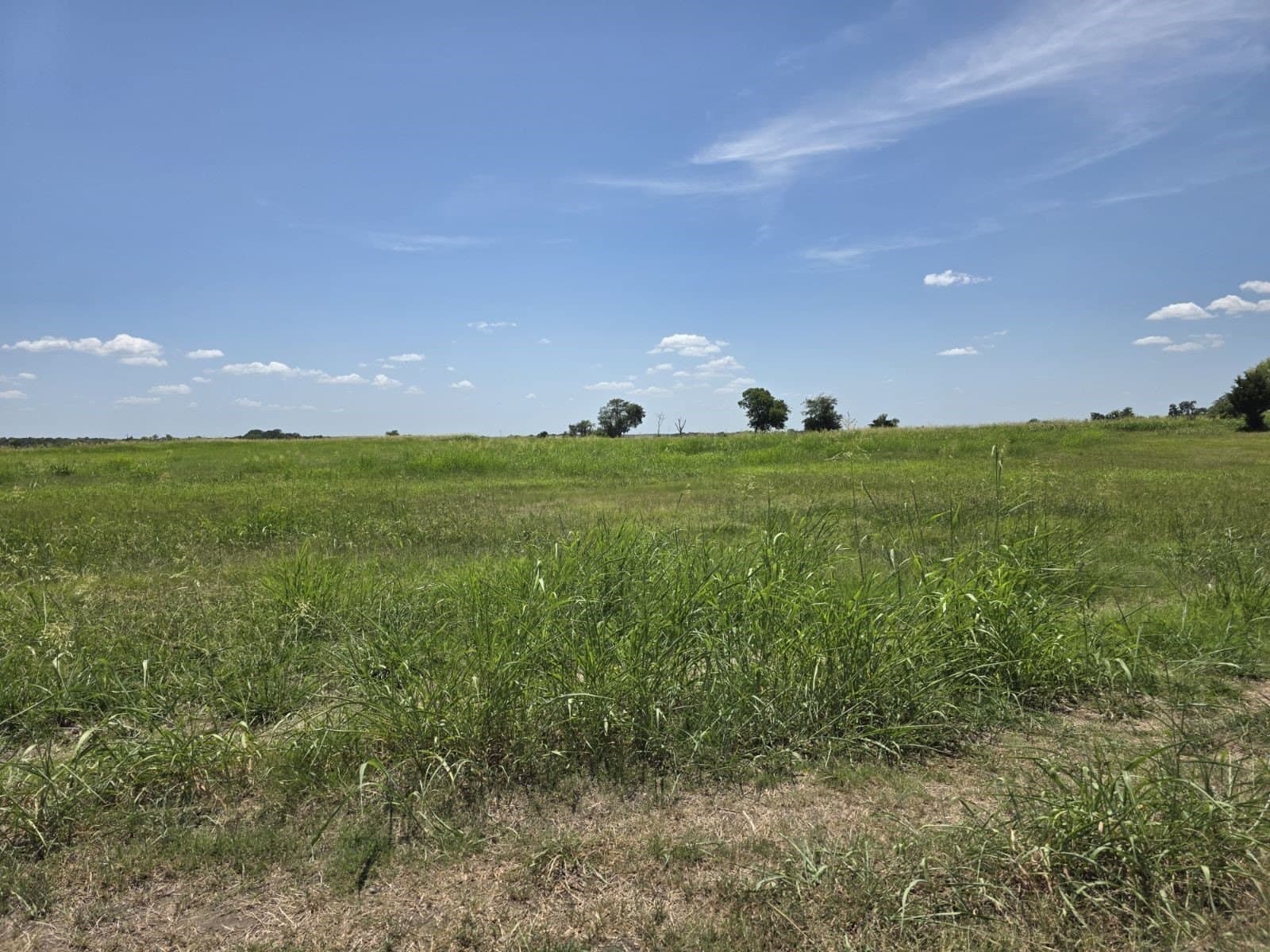 0.31 acres in Hunt County - photo 25