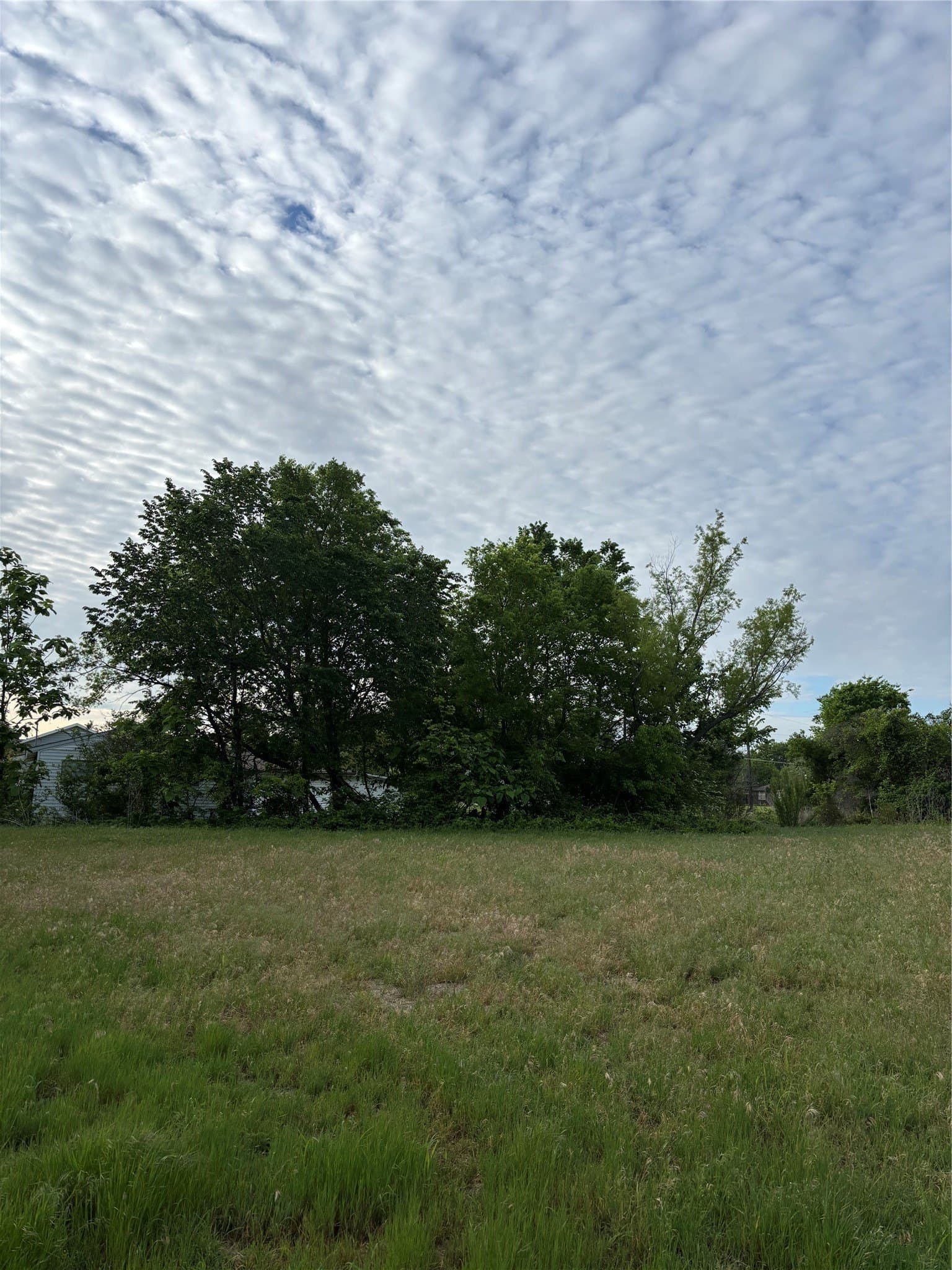 0.64 acres in Rockwall County gallery image 2