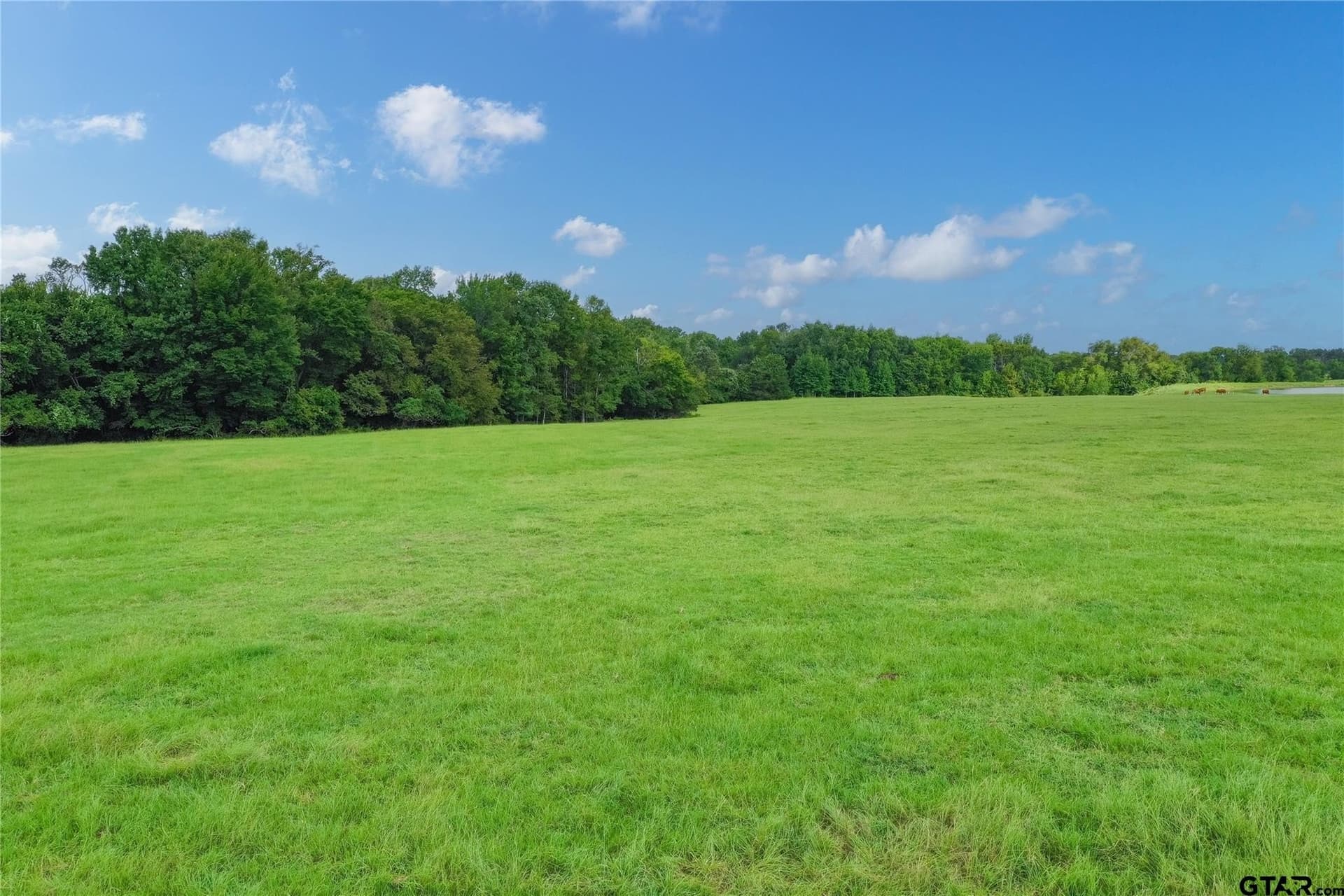 51 acres in Van Zandt County gallery image 4