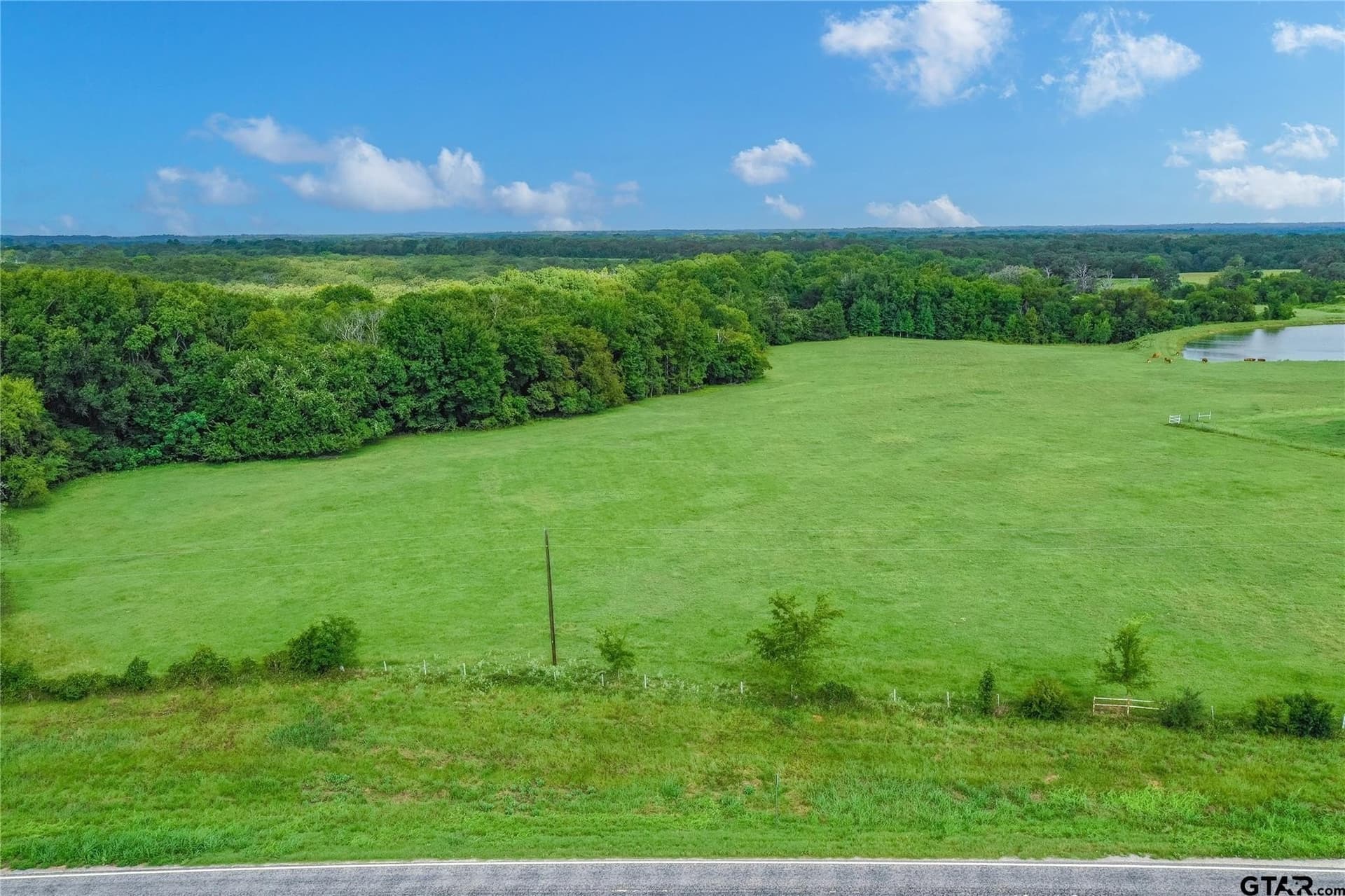 51 acres in Van Zandt County gallery image 3