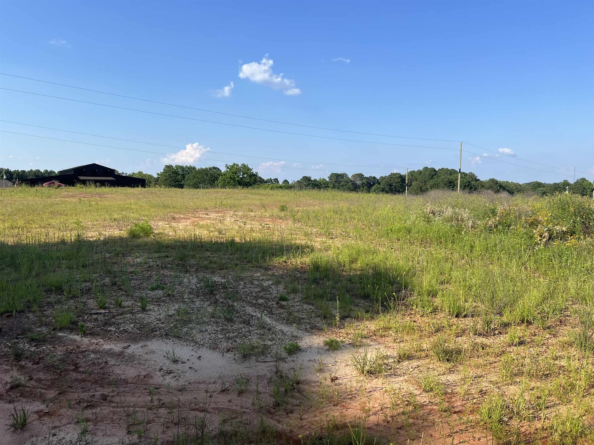 1.03 acres in Upshur County gallery image 3