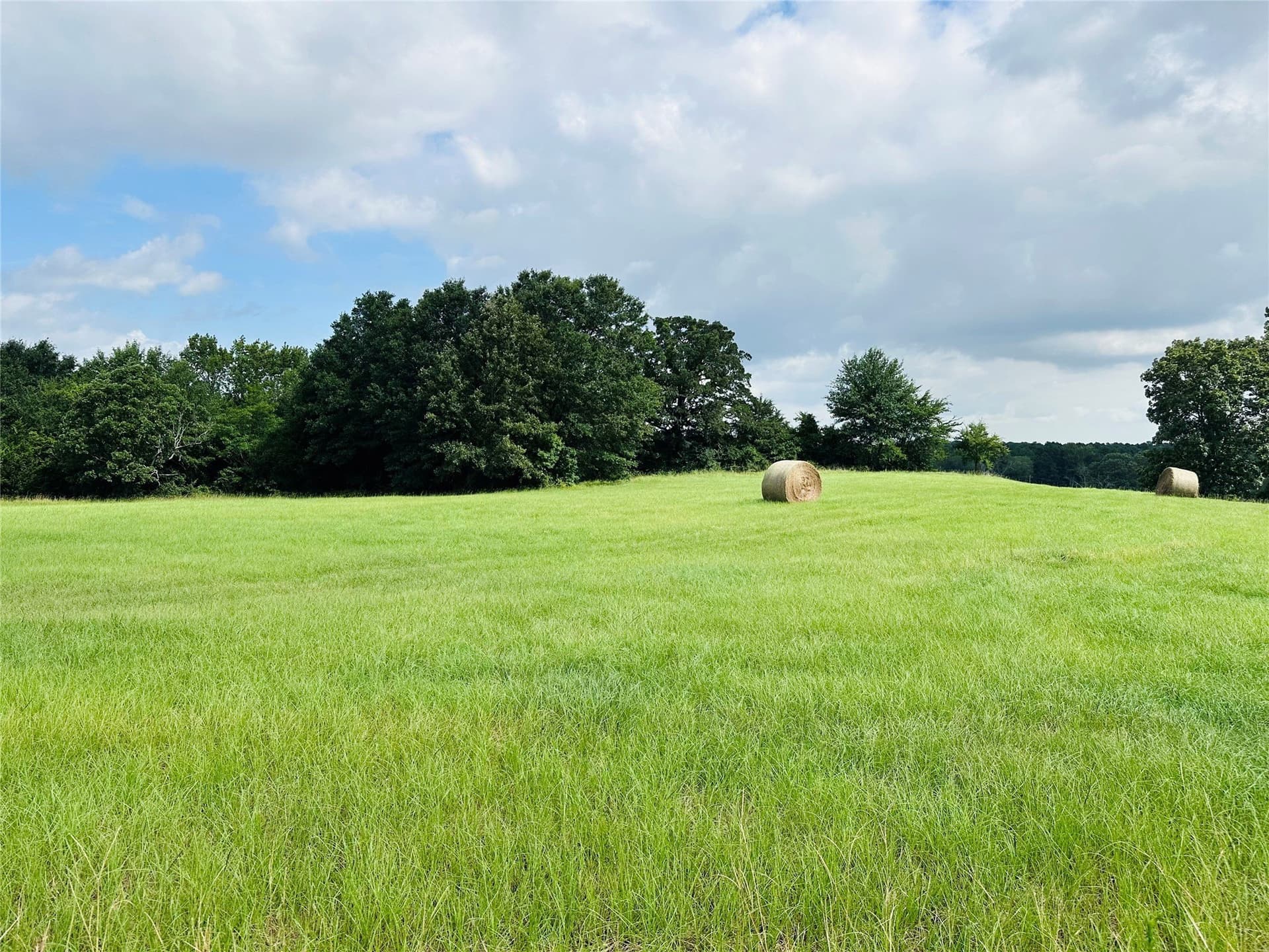 15.03 acres in Henderson County