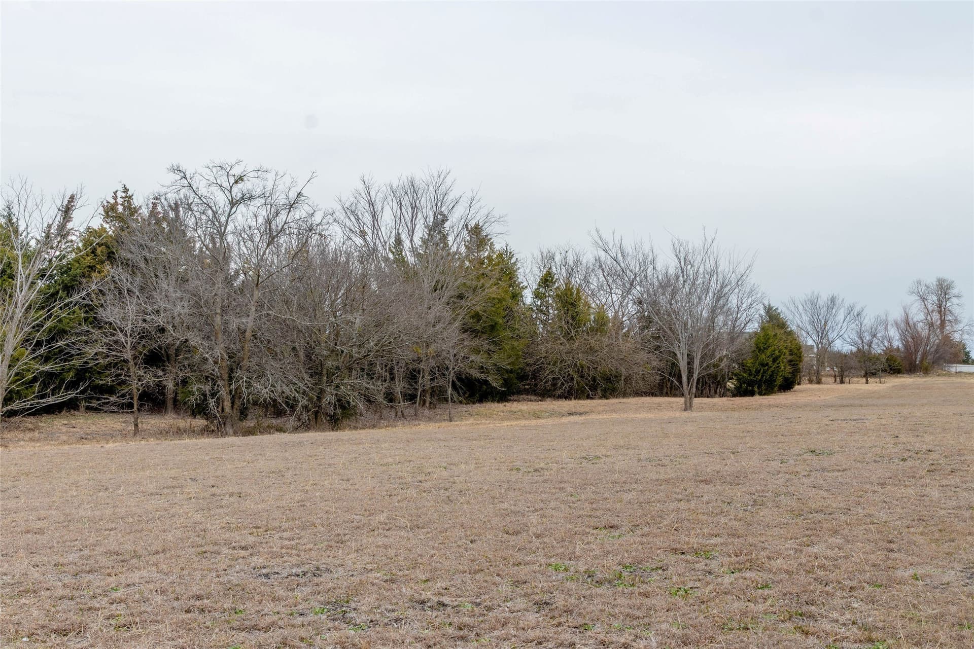 10 acres in Collin County - photo 5