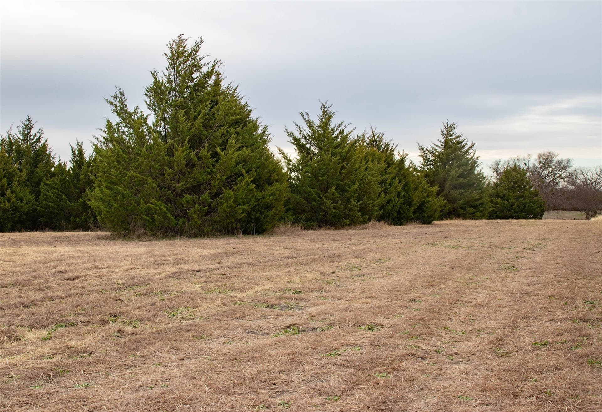 10 acres in Collin County - photo 11