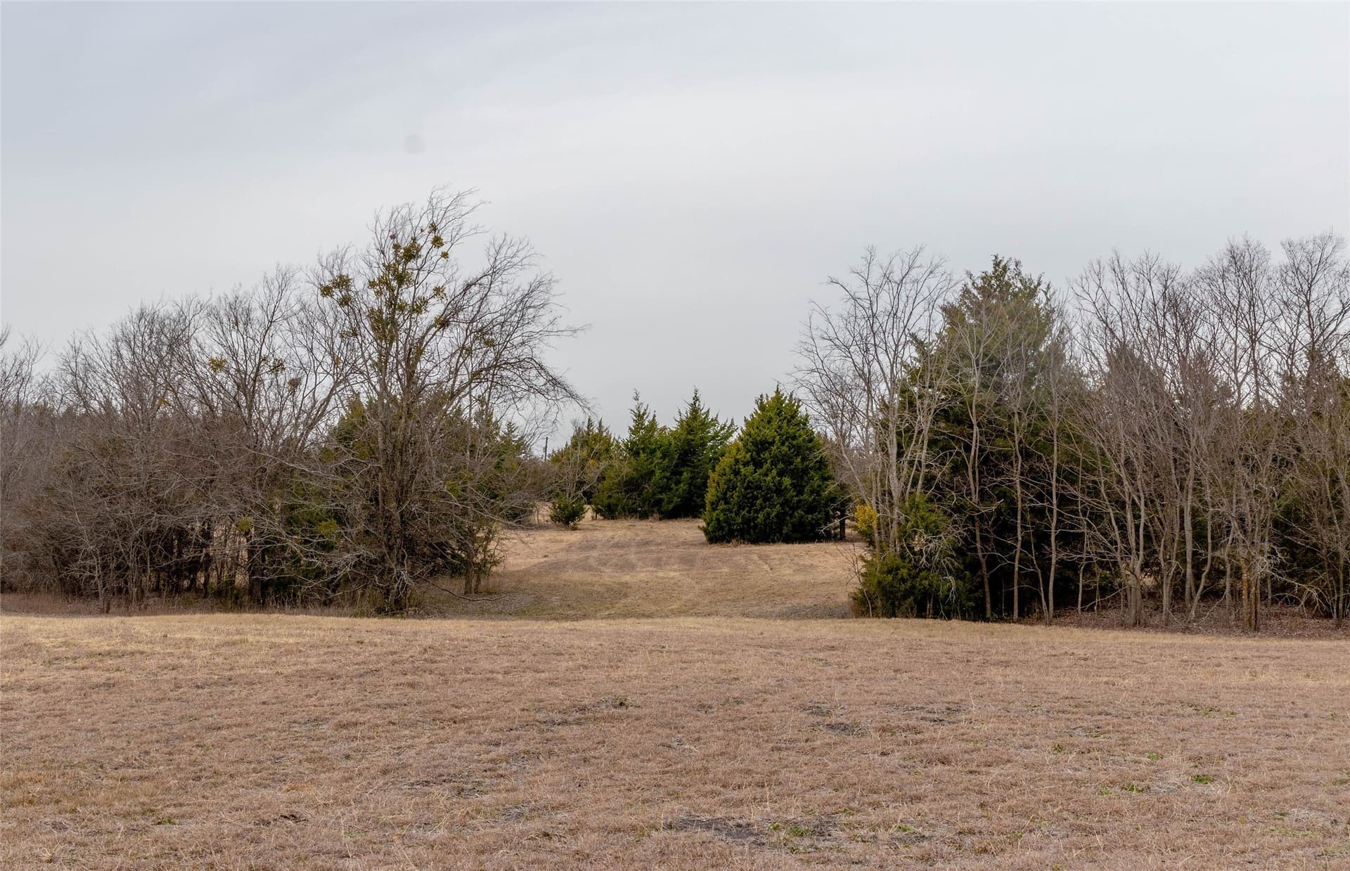 10 acres in Collin County - photo 6