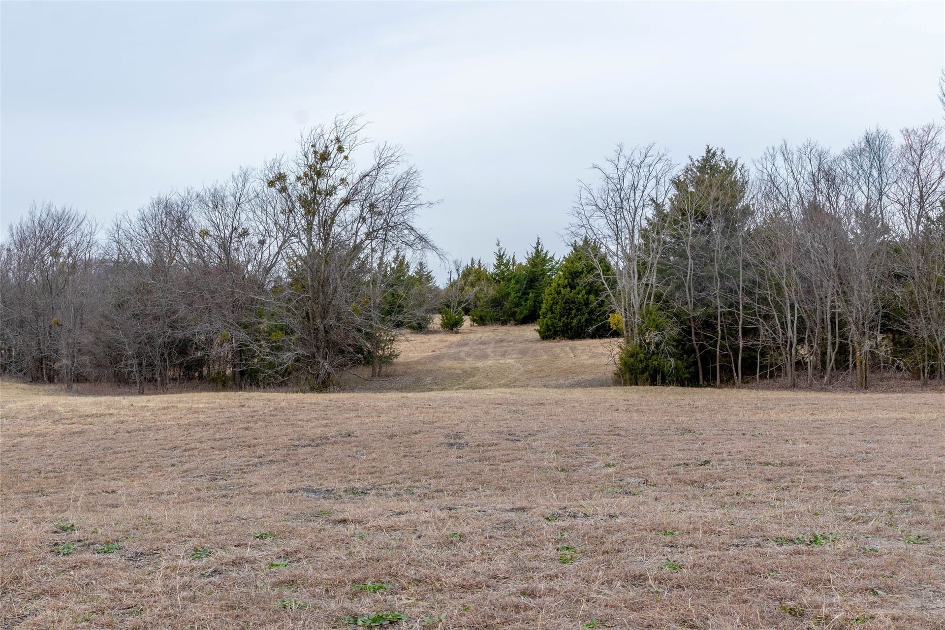 10 acres in Collin County - photo 4