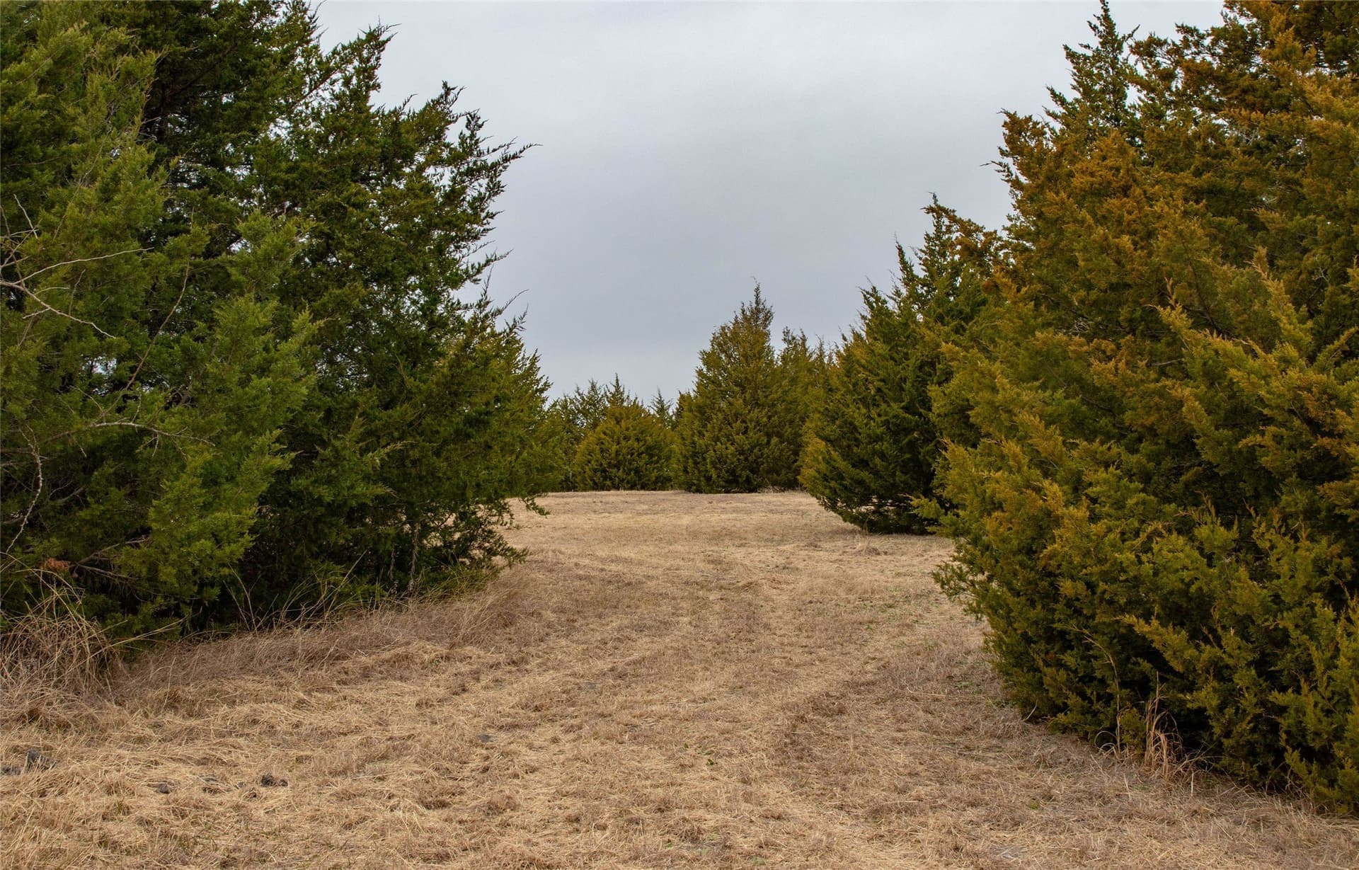 10 acres in Collin County - photo 14