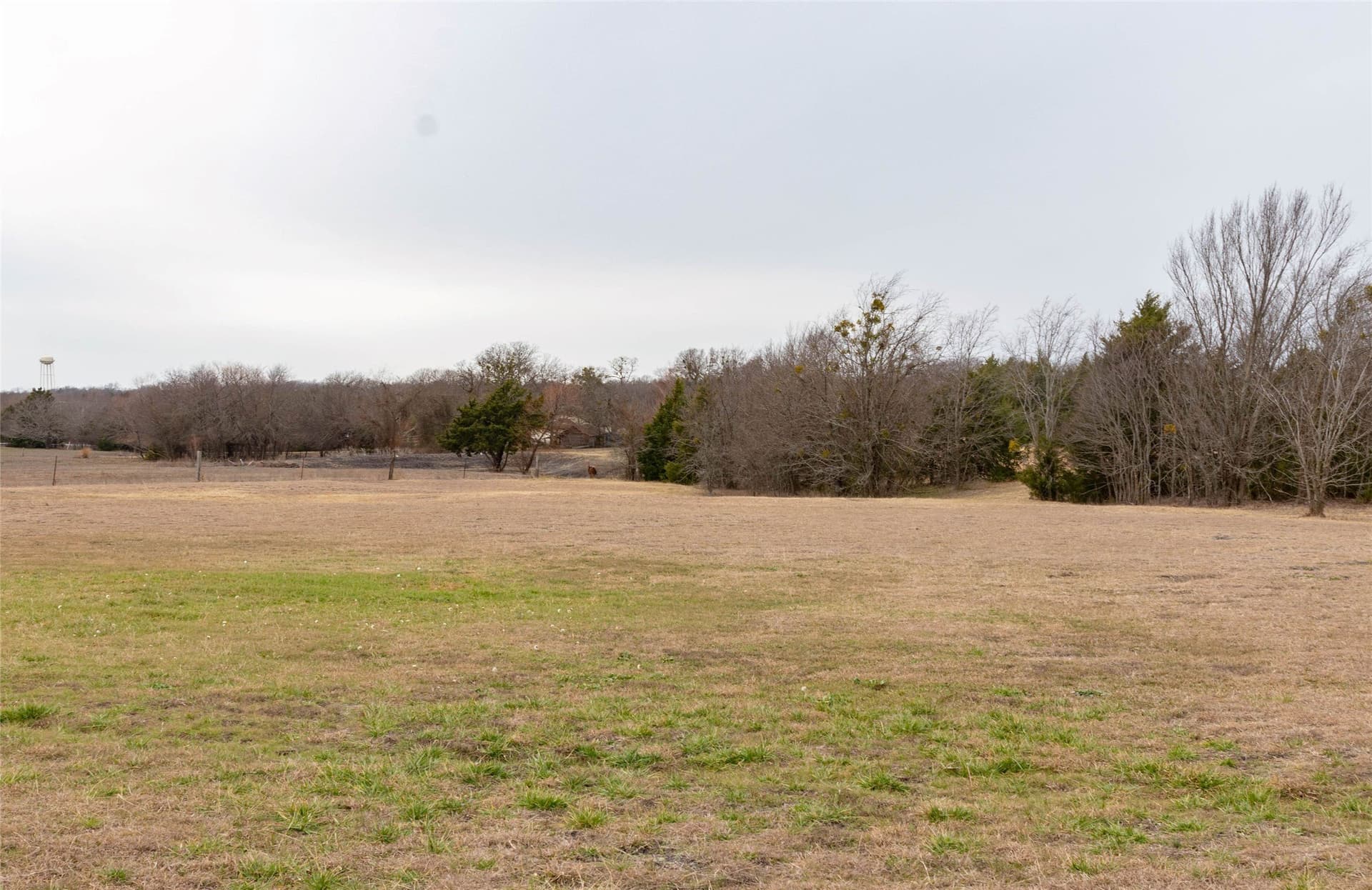 10 acres in Collin County - photo 15