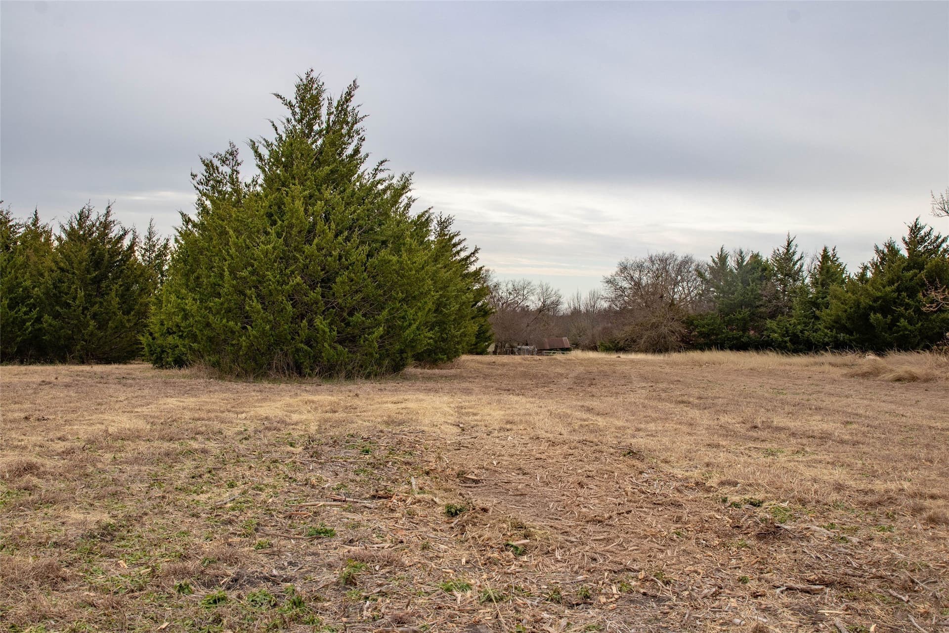 10 acres in Collin County - photo 13