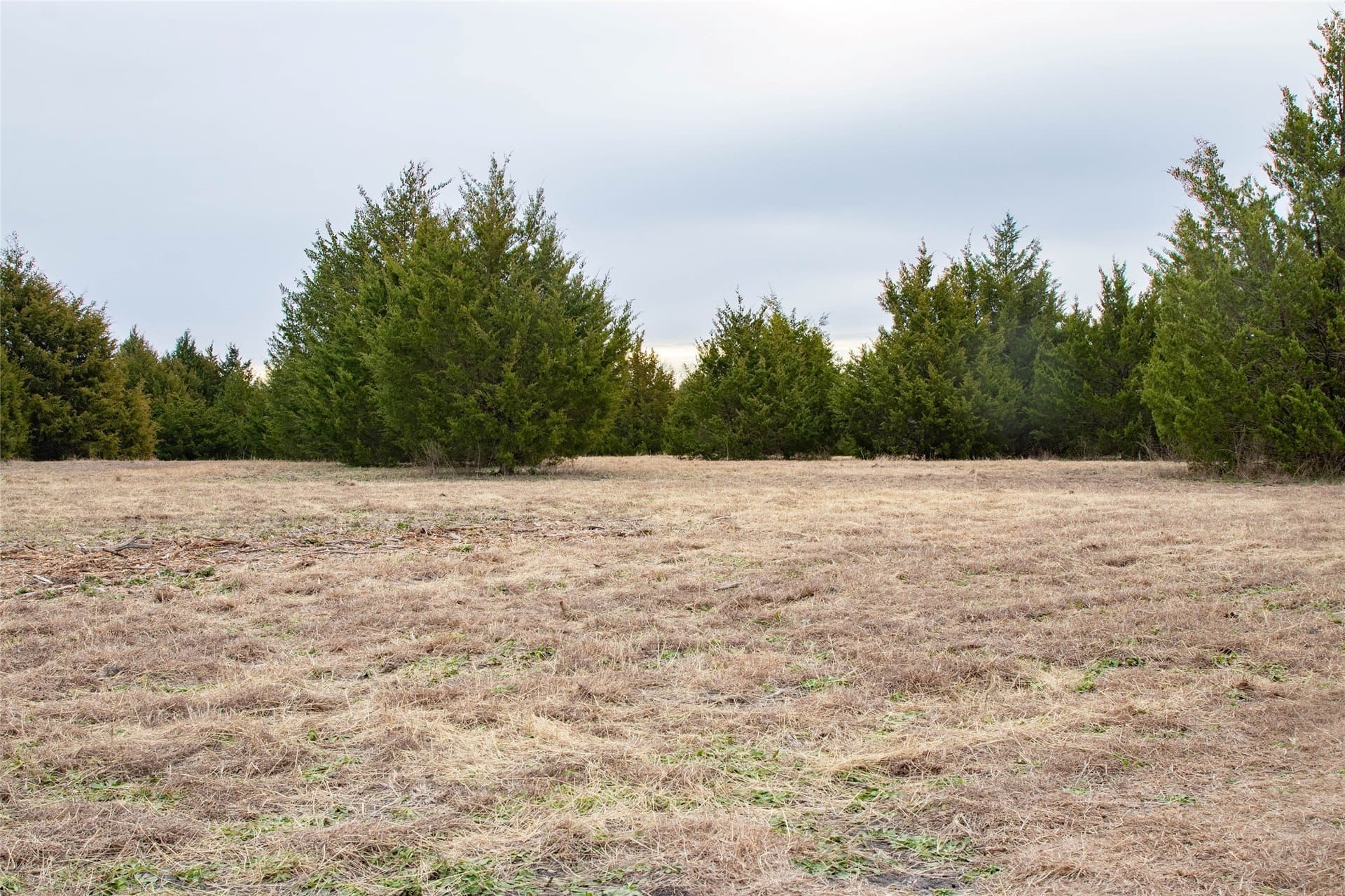 10 acres in Collin County - photo 12