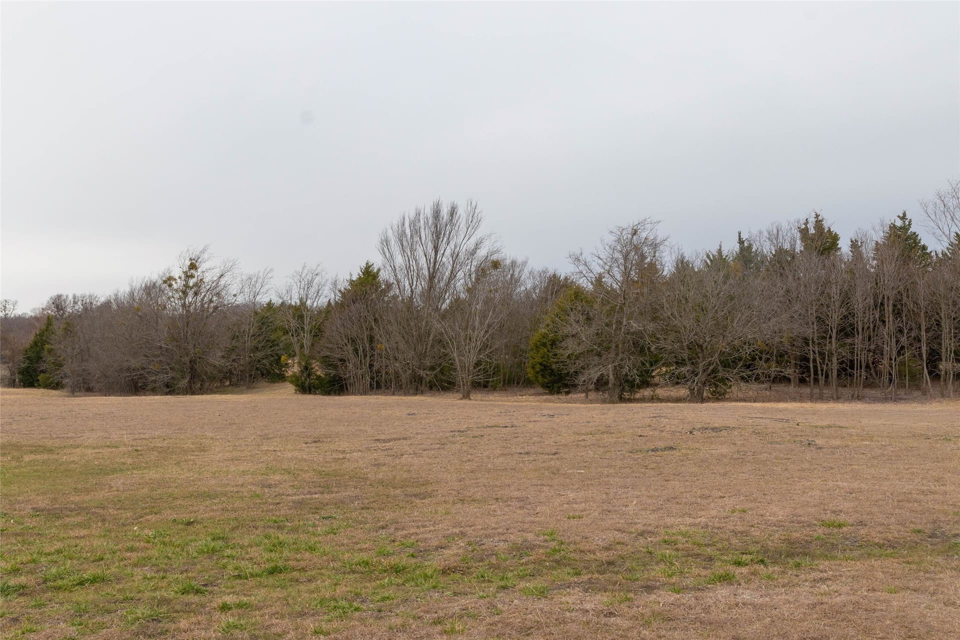 10 acres in Collin County - photo 16