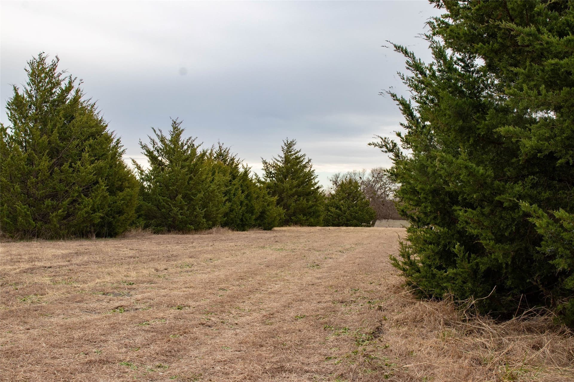 10 acres in Collin County - photo 9