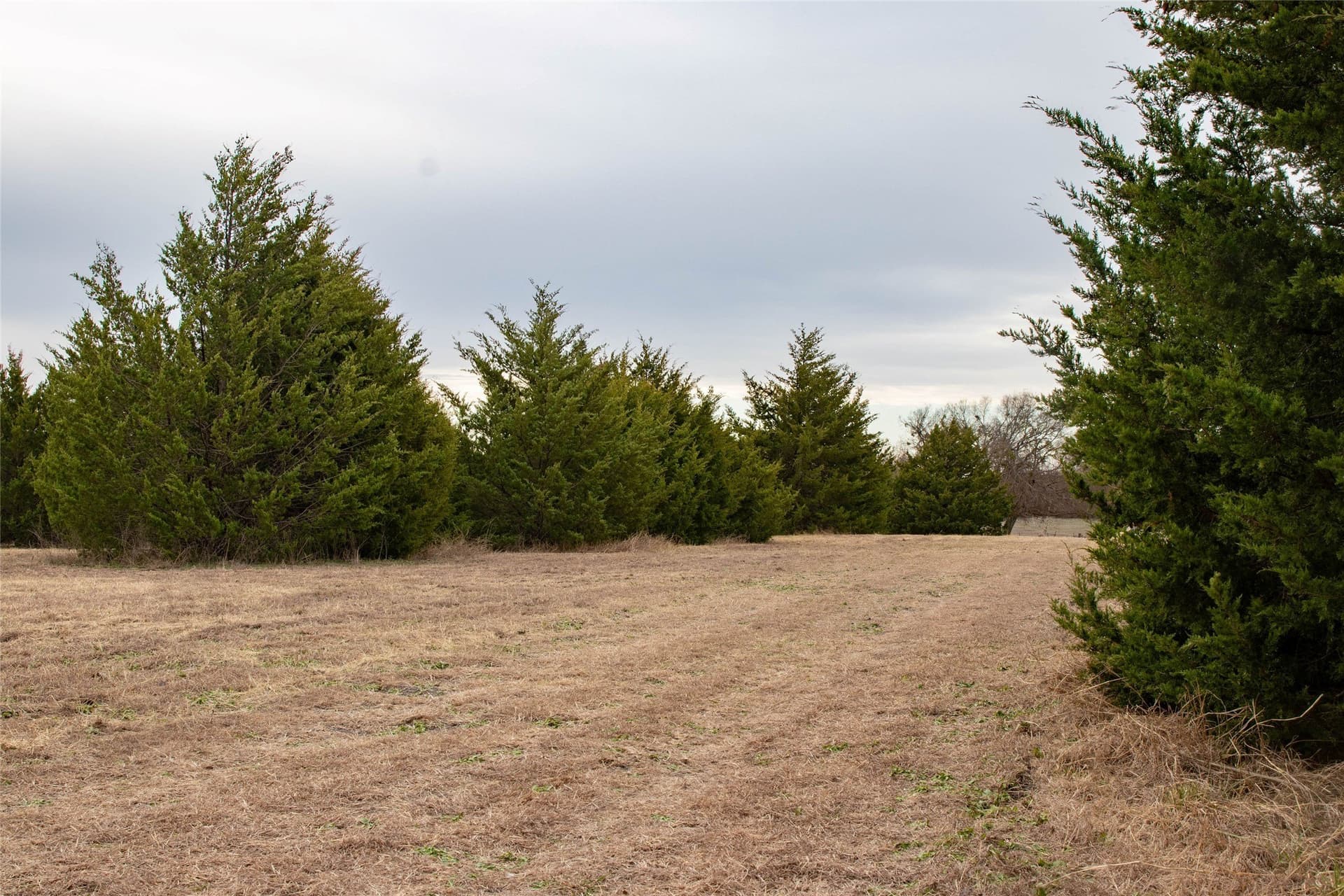 10 acres in Collin County - photo 10