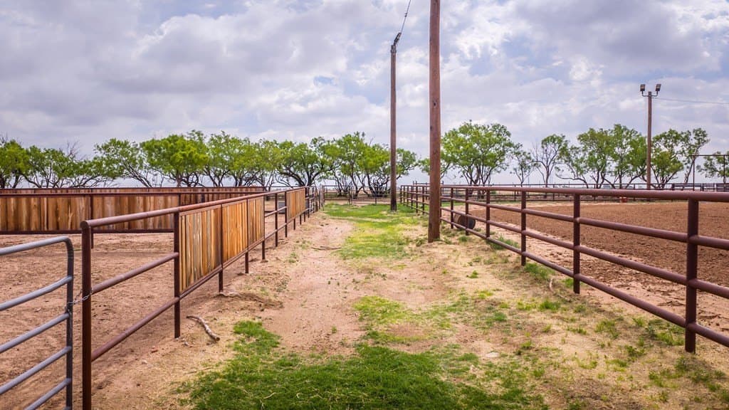 21 acres in Scurry County - photo 61