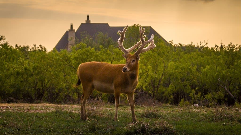 21 acres in Scurry County - photo 49